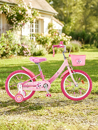 세발 자전거에서 네발 자전거까지 </br>미취학 어린이들을 위한 자전거